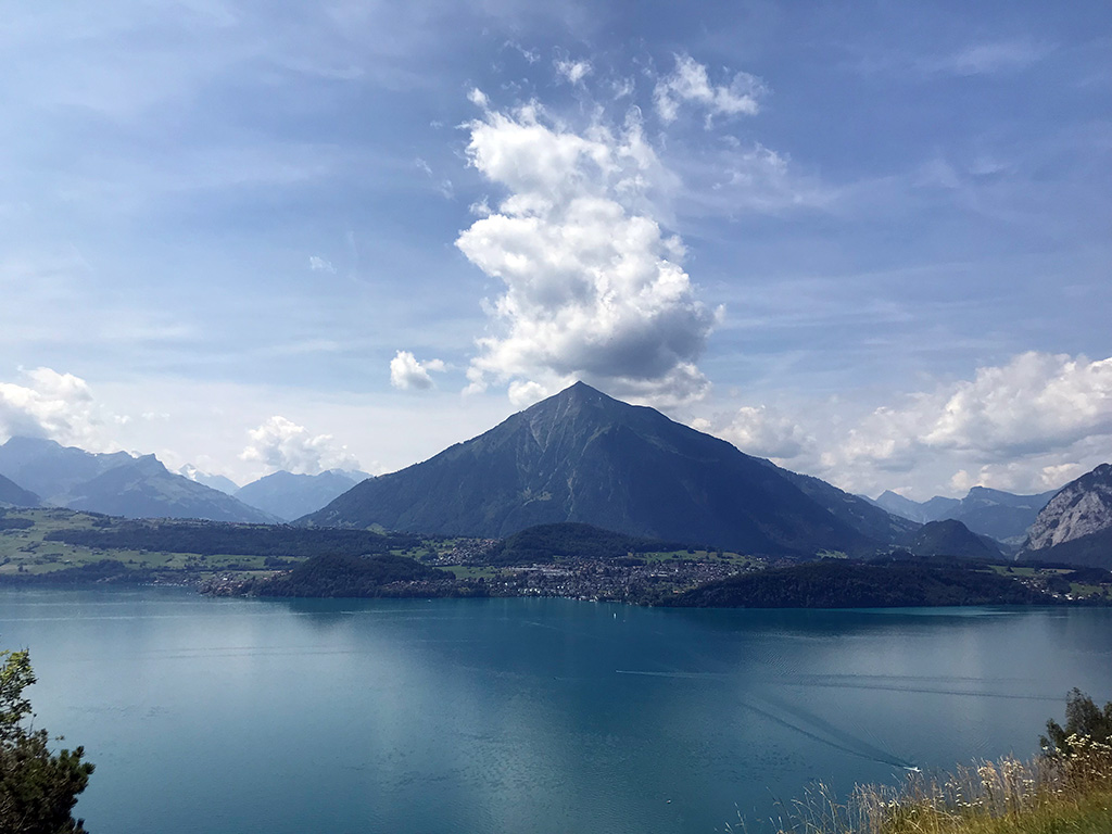 Landschaftsentwicklung NiesenJlona2019